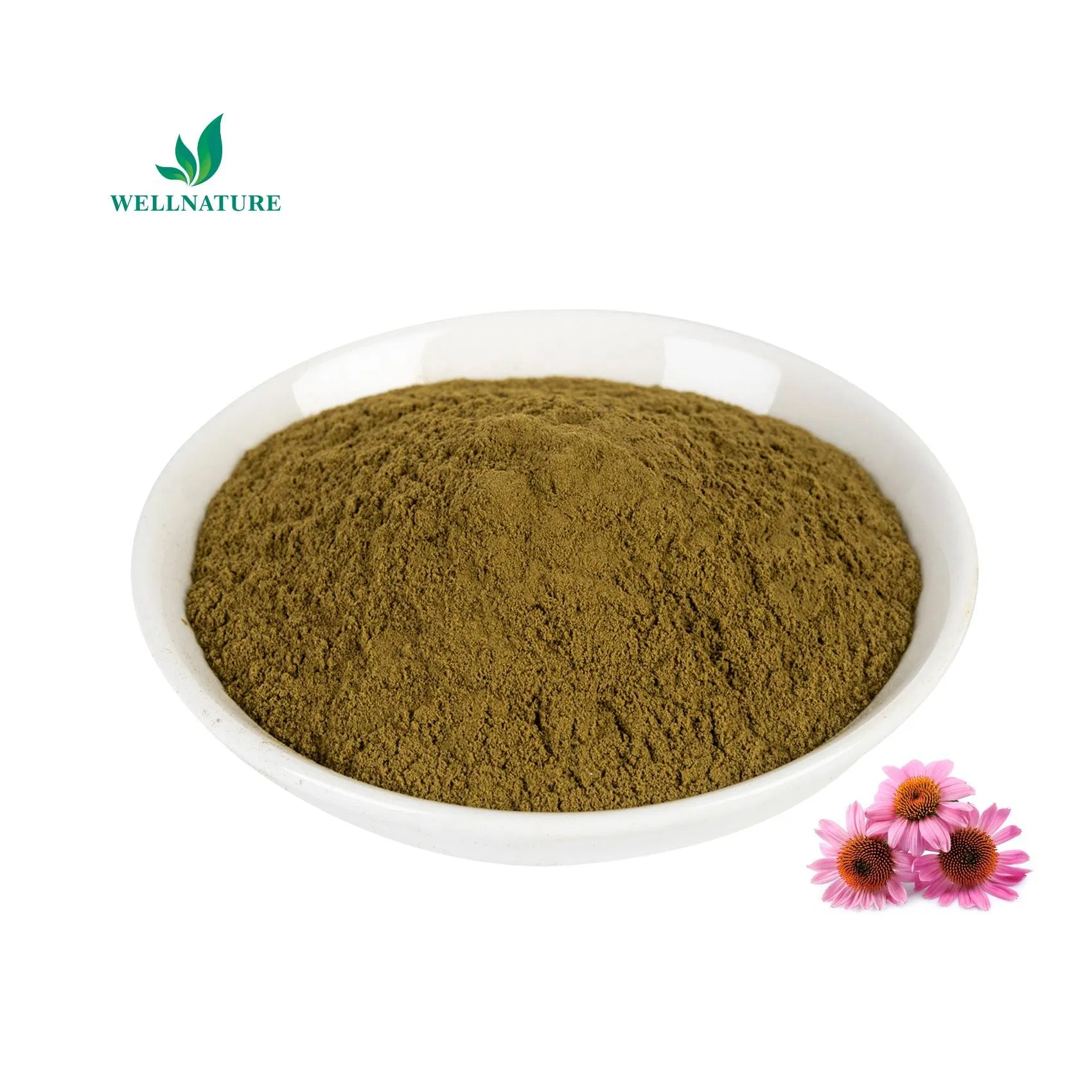 Standardized 5% Chlorogenic Acid for Dietary and Metabolic Supplements Eucommia Ulmoides Extract