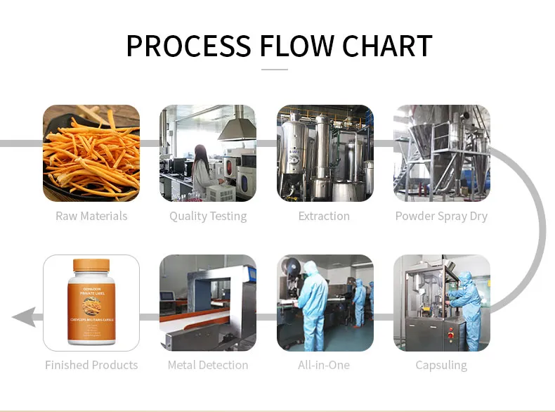 Cordyceps Extract Capsules 5
