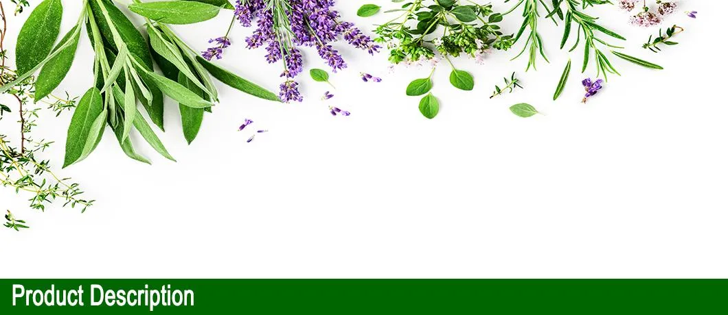 Feverfew Flower Extract