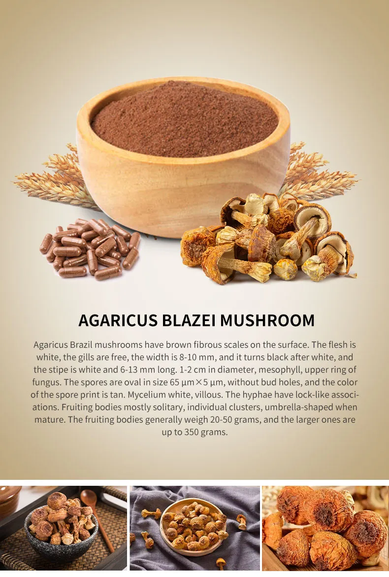 Organic Agaricus Blazei Extract Powder Pure Form