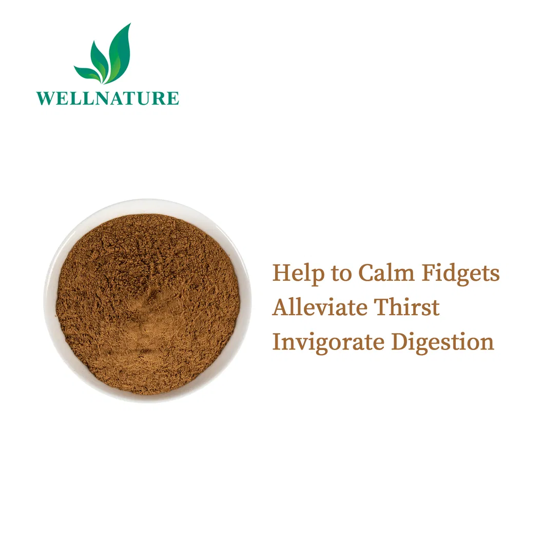 Quillaja Saponaria Extract Powder Detail