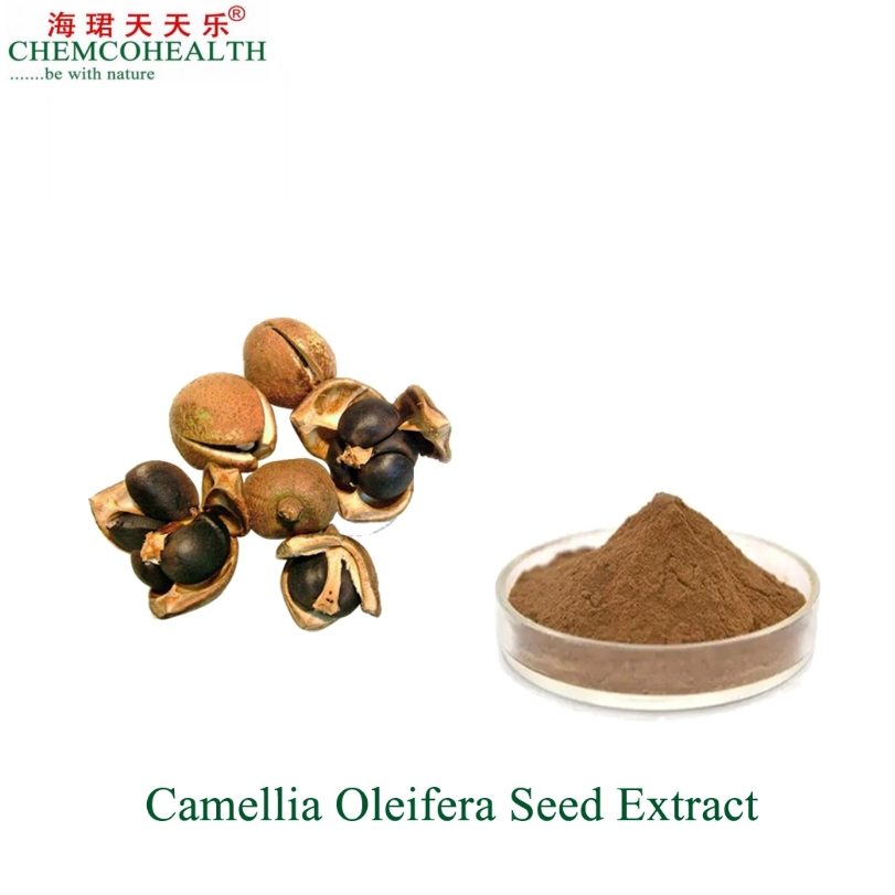 Natural Herbal Camellia Seed Extract High Content of Tea Saponin