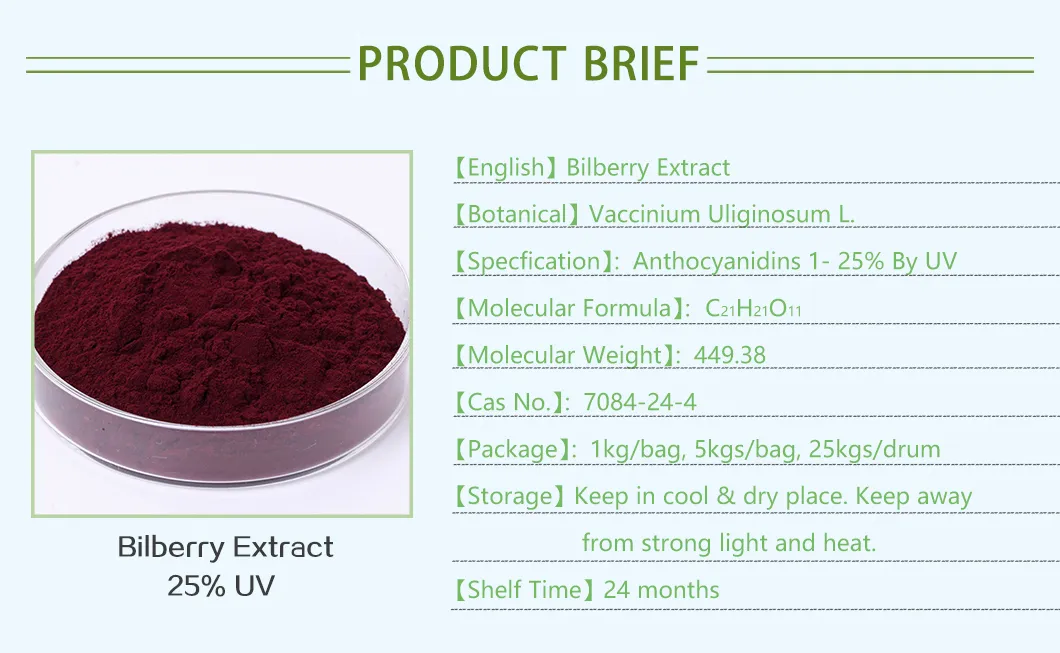 Bilberry Extract Image 3