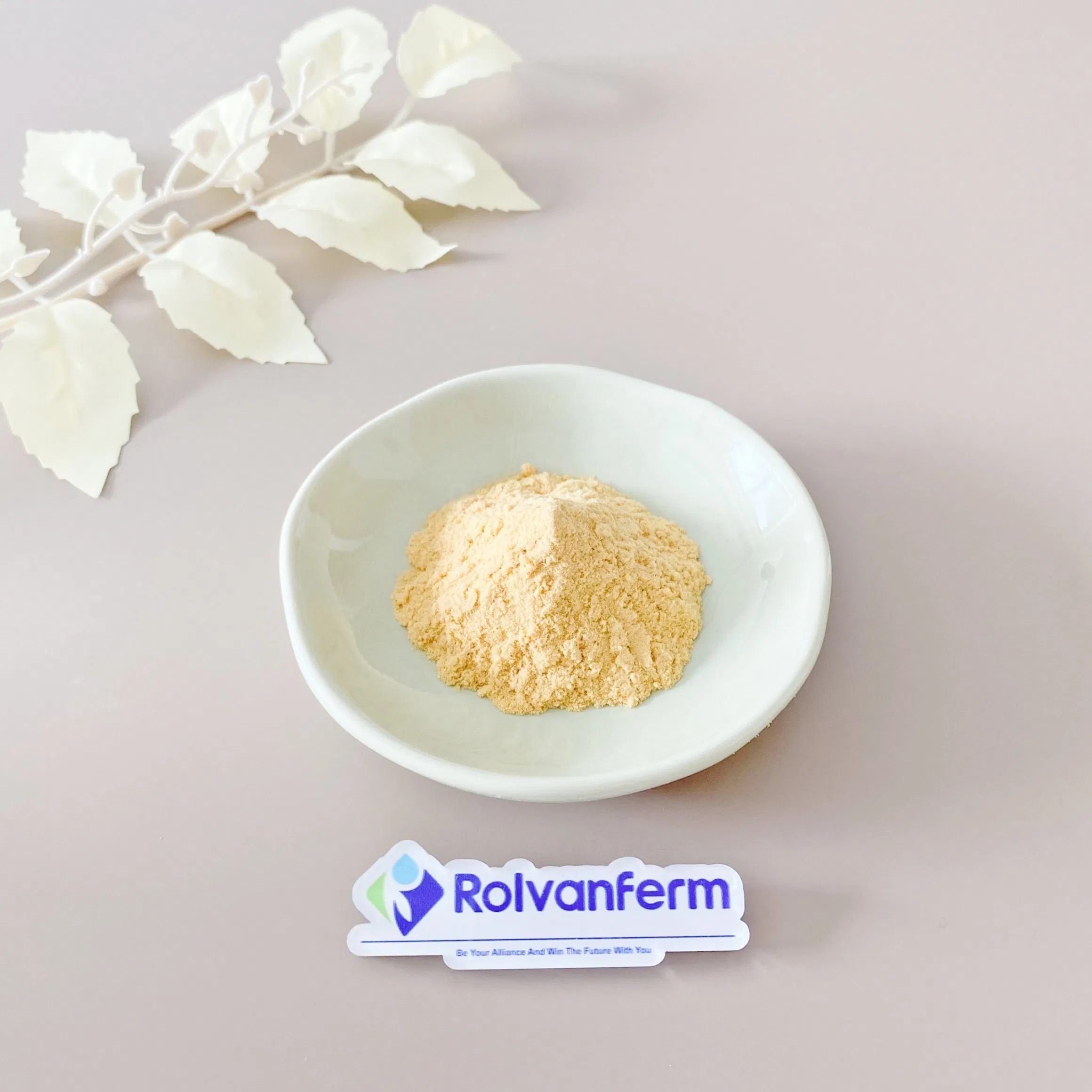 Ginger Root Extract Standardized Gingerols From Zingiber Officinale for Dietary Supplement Applications