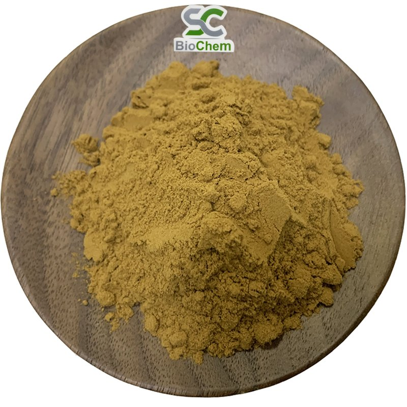 Factory Price Bulk Natural Aloe Vera Extract 100% Aloin 20% -98% Aloe Emodin 90%-98% Aloe Vera Dry Extract