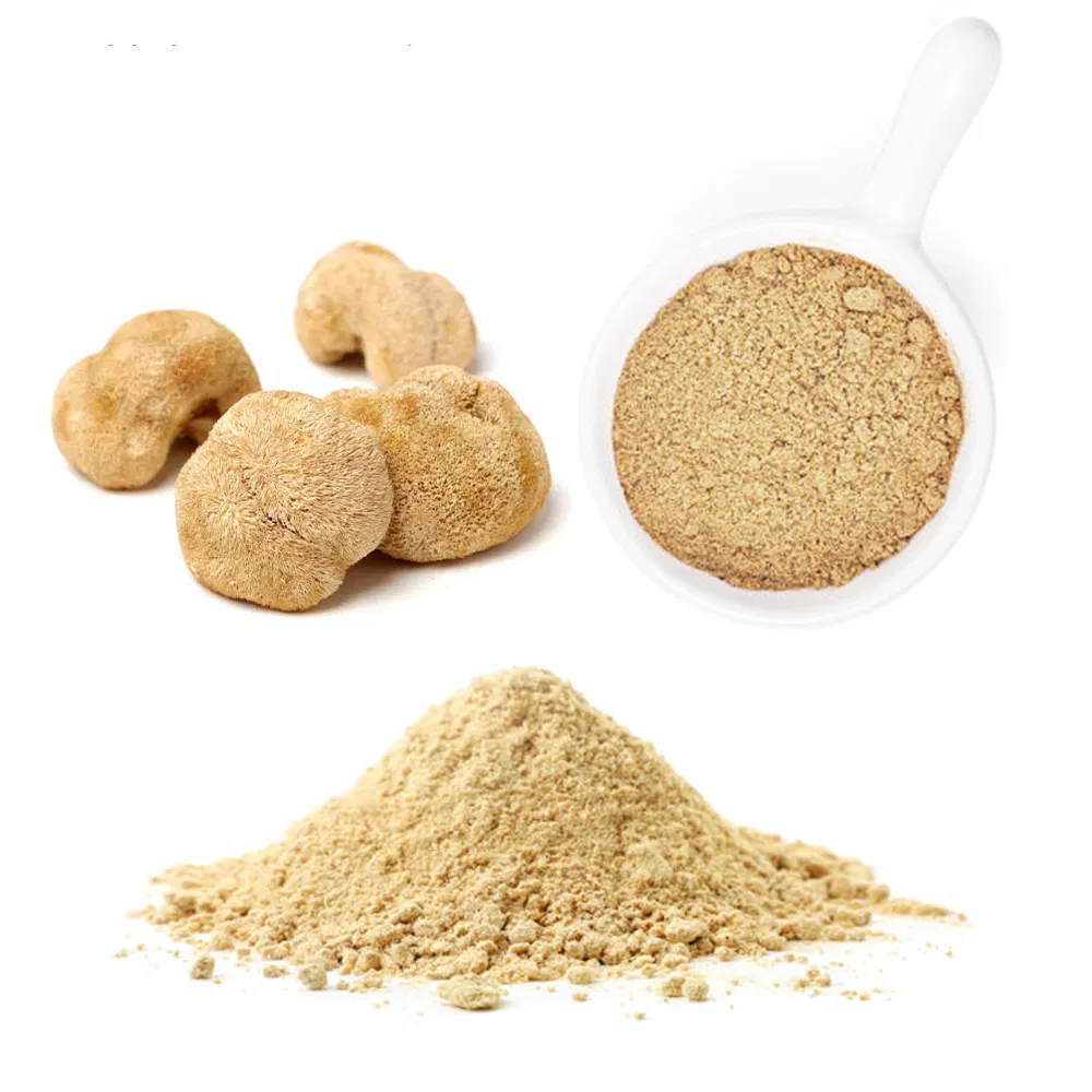 Natural Hericium Erinaceus Extract Powder Premium Grade