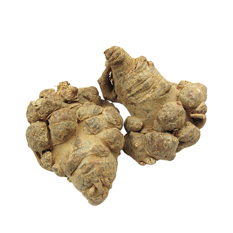 Factory Supply10% 40% 80% Notoginsenosides Panax Notoginseng Root Extract