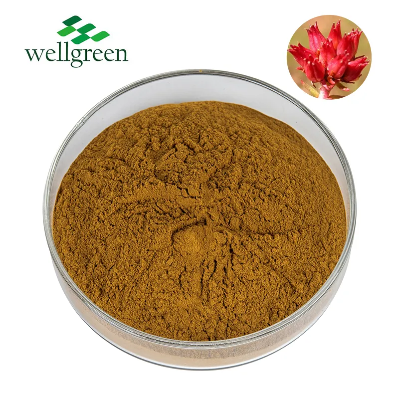 Rhodiola Powder