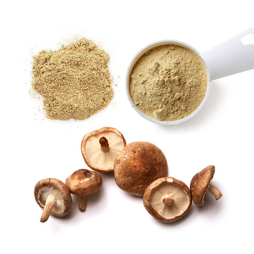 Best Selling Superior Qualityfood Grade Extraction Shitake Mushroom Extract