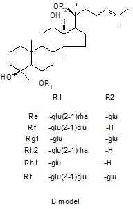 Molecular Structure 2