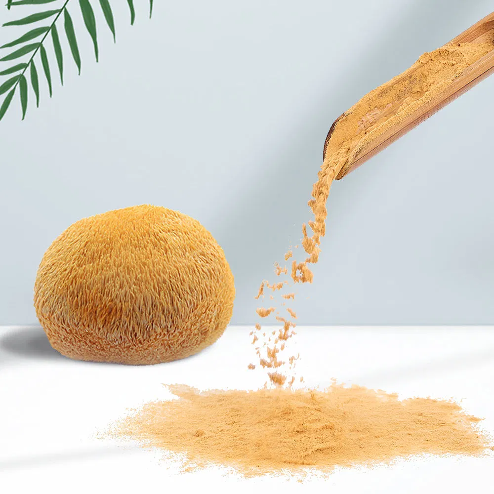 Whoesale Herballion's Mane Bulk Hericjumerinaceus Extract in Low MOQ