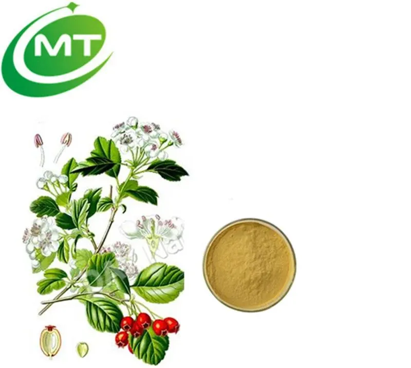 Epimedium Extract Powder