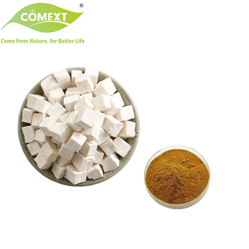 Poria Cocos Extract Detail
