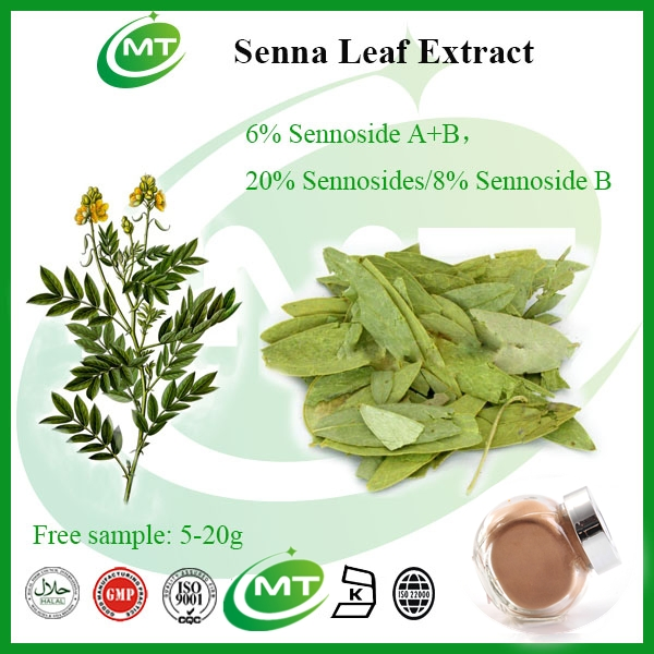 Digestive Wellness Sennoside a+B Senna Leaf Extract Powder