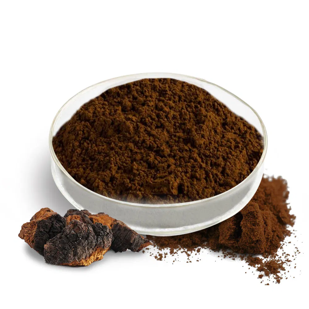 Bulk Customization of Chaga Mushroom Extract Powder Plant Extract Medicinal Mushroom