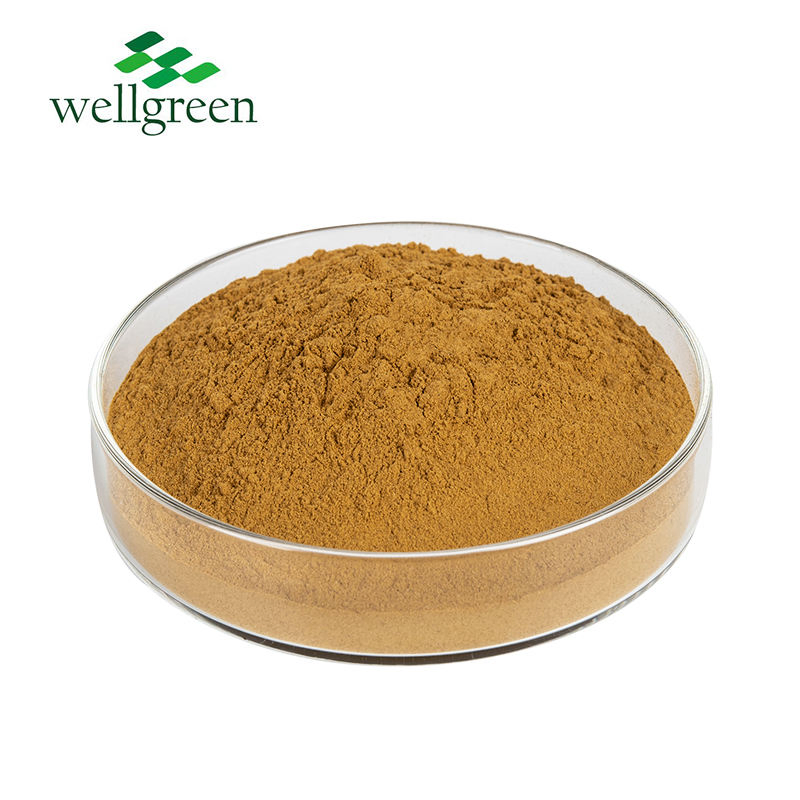 Food Grade Bulk Stock Plant Flavones24%Lactones6% Leaf Ginkgo Biloba Extract Powder