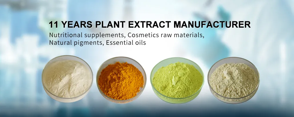 Gotu Kola Extract Banner