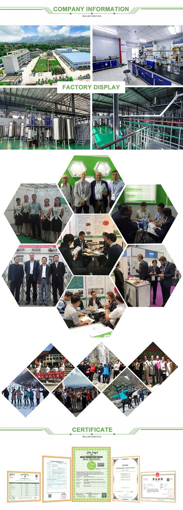 Manufacturing Process