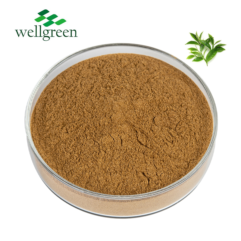 Supplement Use Green Tea Extract Powder EGCG 98% Polyphenols