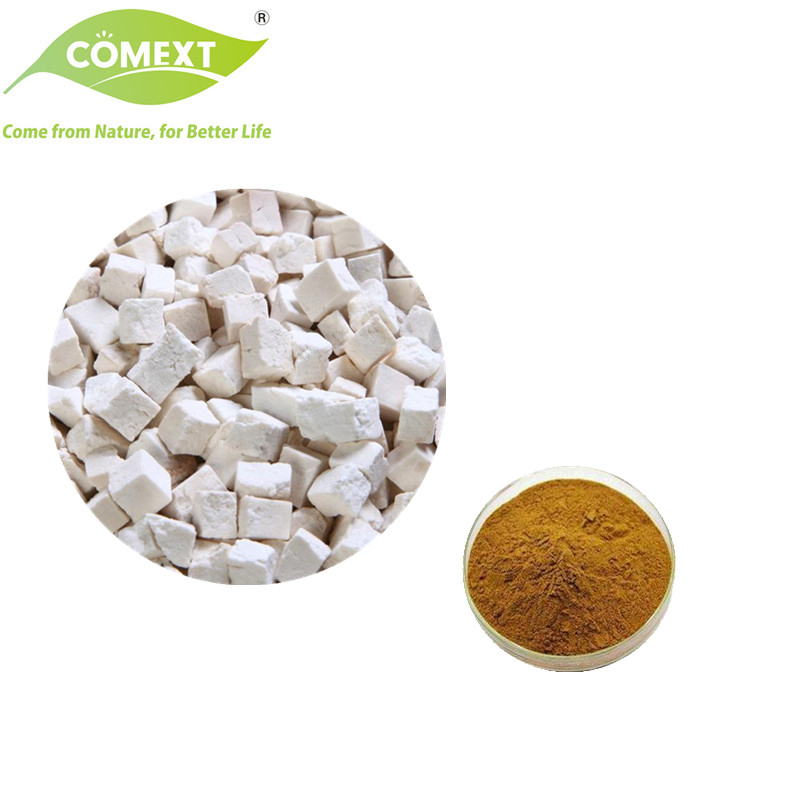 Comext 100% Matural Traditional Chinese Medicinal Poria Cocos Good Quality Herbal Radix Poria Cocos Extract