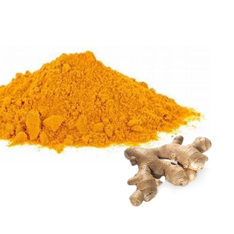 Pure Nature Plant Turmeric Powder for Health Care Product Curcumin Instant Dry Ginger Extract Powder