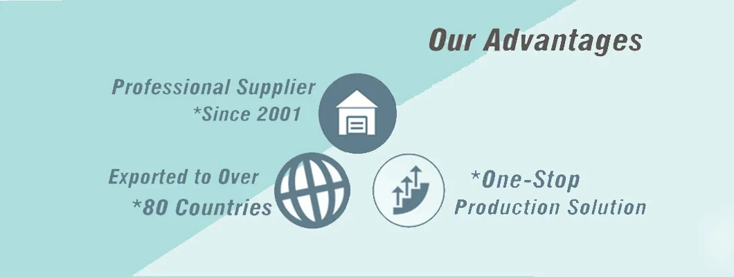 Production Advantage