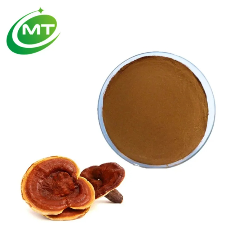 Organic 100% Wholesale Plant Extract Water Soluble Reishi Mushroom Extract Powder