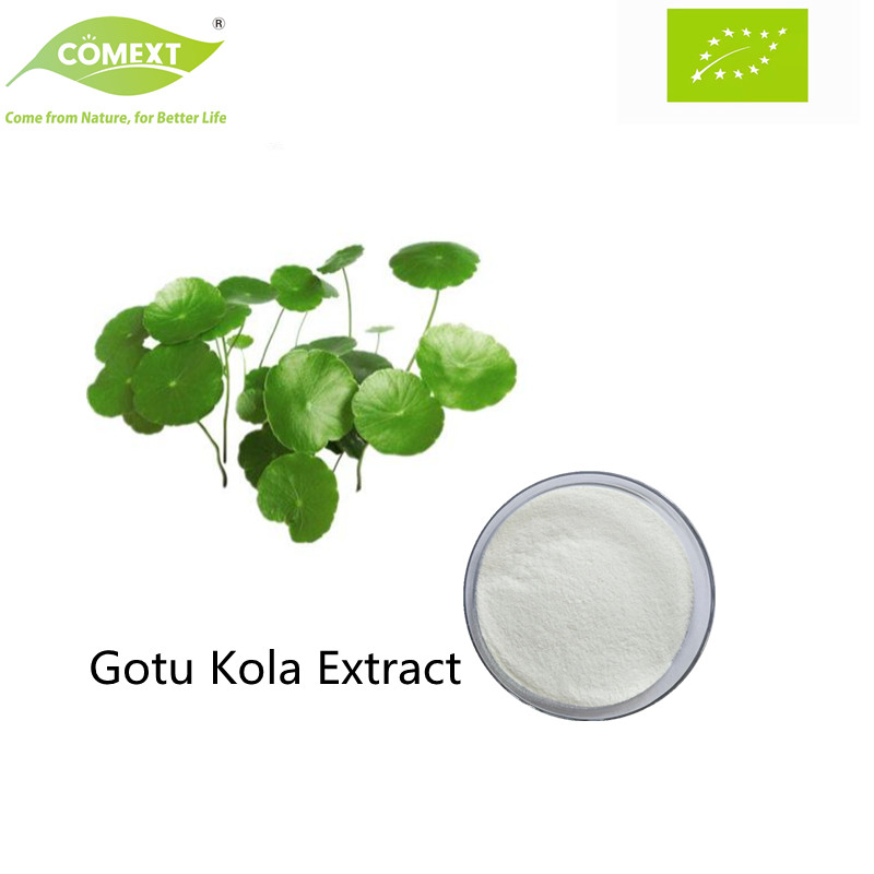 Comext Plant Extract Herbal Extract Cosmetics Ingredients Gotu Kola Asiatic Acid Centella Asiatica Extract Triterpenoid Glycosides Powder