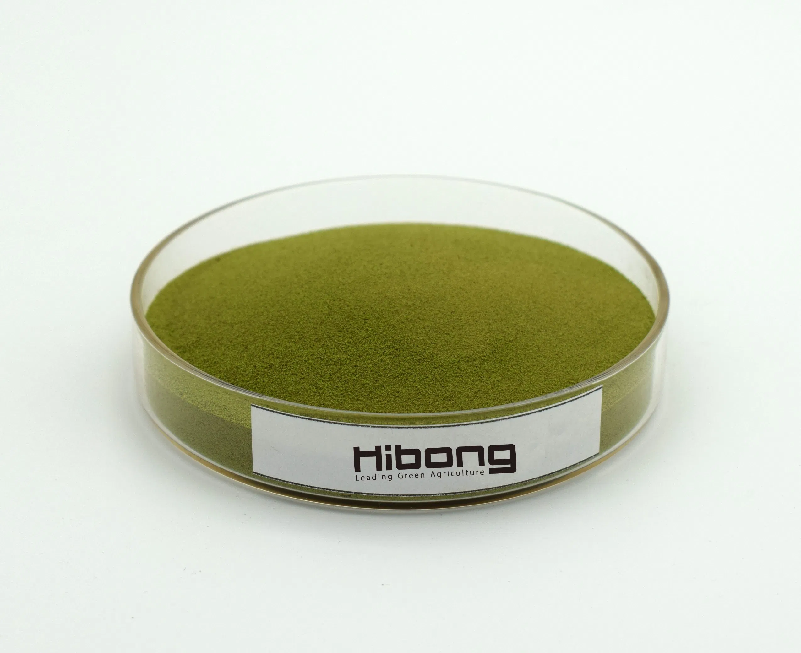 Organic Natural Seaweed Extract for Enhanced Plant Growth and Health