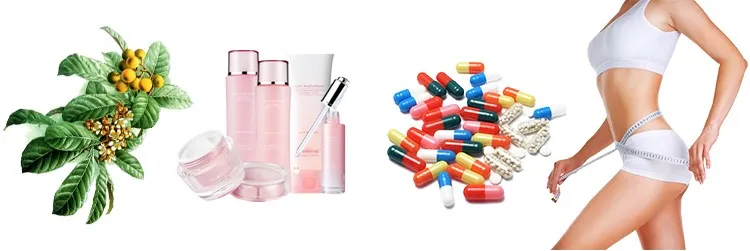 Ursolic Acid Functions