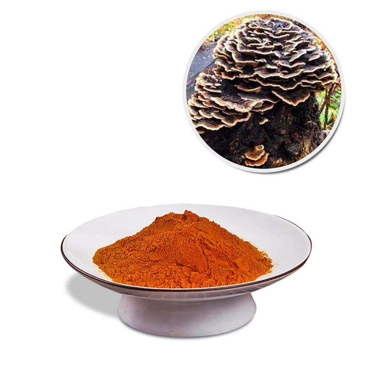 Extracts Plants 100% Water-Soluble Turkey Tail Mushroom Extract Powder
