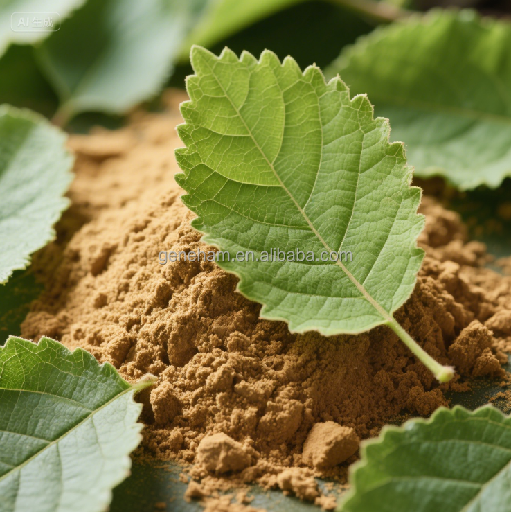 Mulberry Leaf Herbal Extract Powder 2% 1-Deoxynojirimycin Food Grade Natural Plant Supplement
