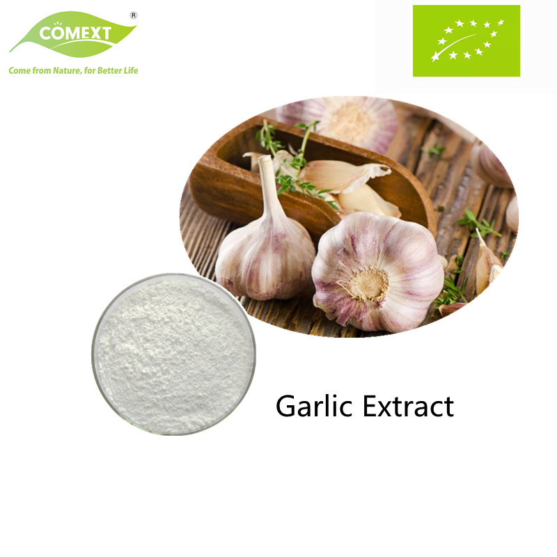 Comext Herbal Extract Factory Supply Bulk Garlic Extract Alliin 1% Pure Allicin Extract