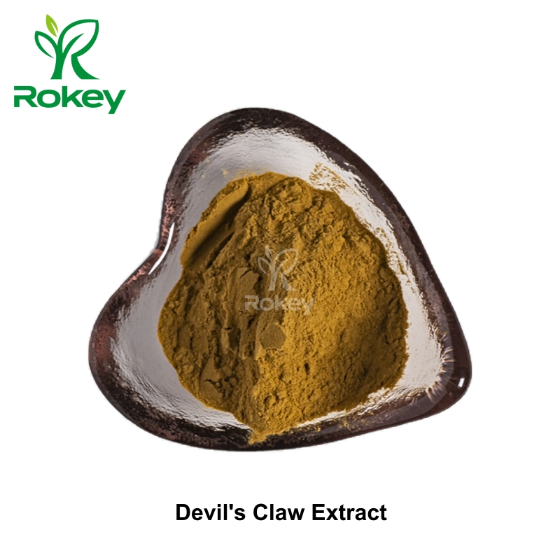 Premium Herbal Support for Joint &amp; Muscle Comfort Devil's Claw Extract Powder