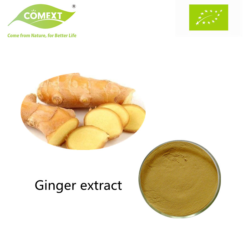 Comext Natural Dried Pure Water Soluble Best Quality Best Price Organic Ginger Root Extract Powder