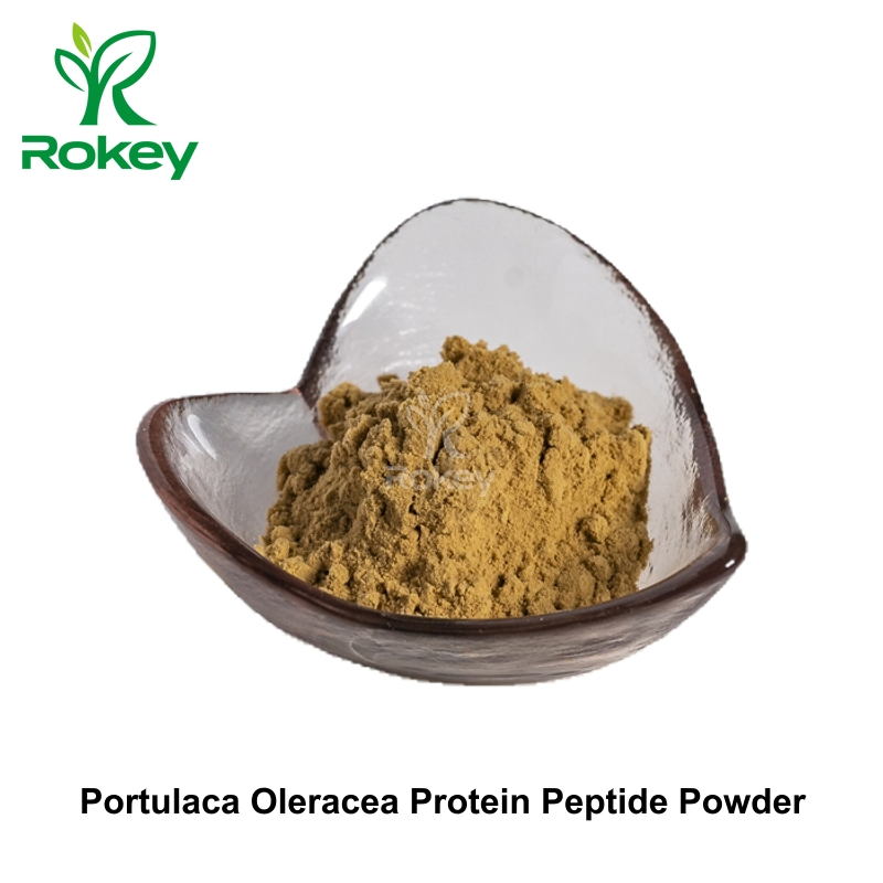 Pure Plant-Derived Collagen Support &amp; Skin Vitality Booster Portulaca Oleracea Protein Peptide Powder, Purslane Extract