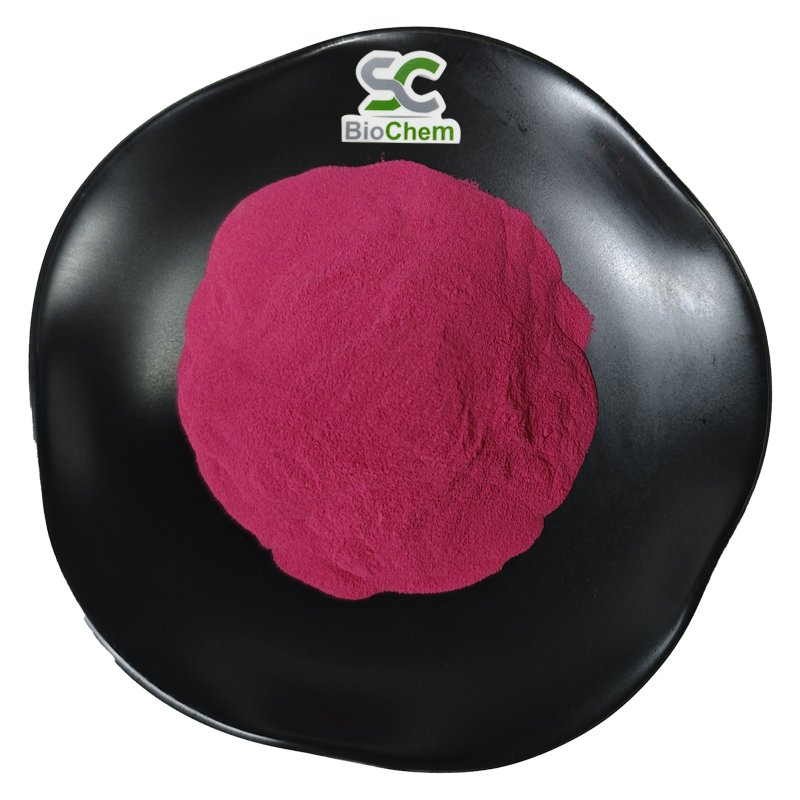 Plant Extract Powder Beet Root Extract Organic Beet Root Extract 10: 1