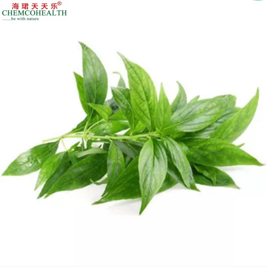 Plant Herbal Extracts From Nature Have Medicinal Nutritional Value Andrographis Paniculata Extract