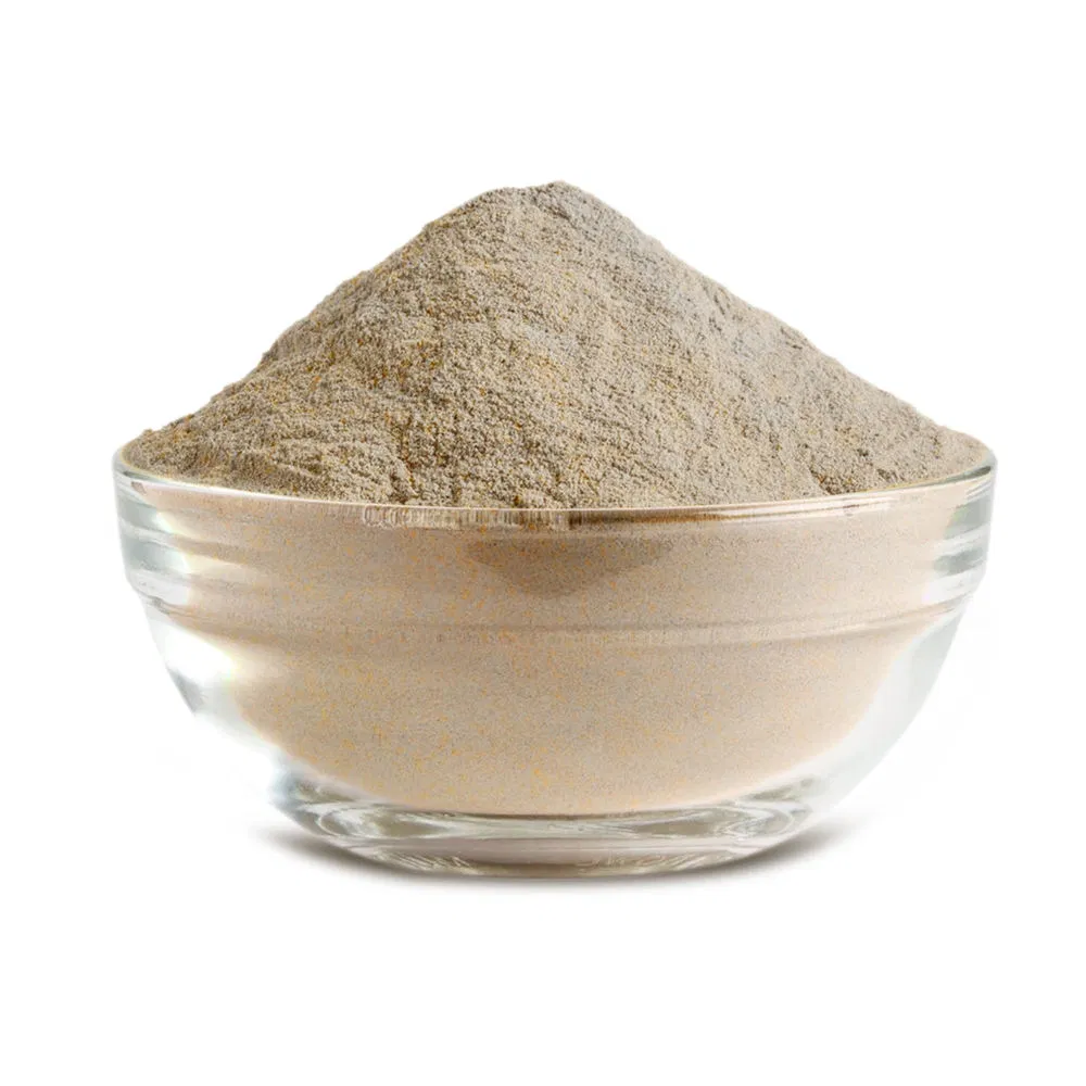 High Quality Dried Maitake Mushroom Extract Powder Medicinal Mushroom Plant Extract