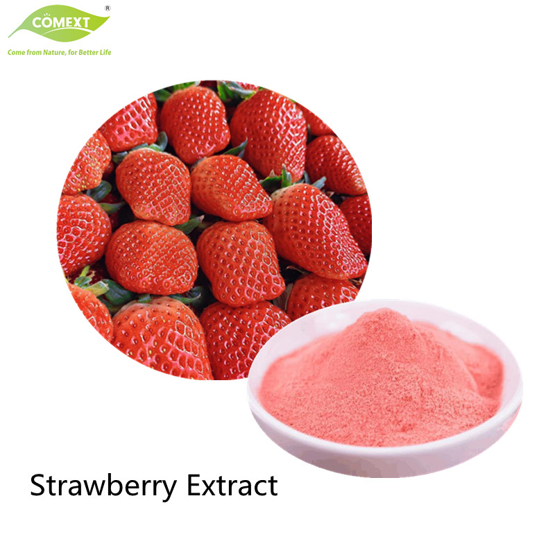 Comext Supply Natural Fruit Powder Freeze Dried Strawberry Powder Extract Best Price