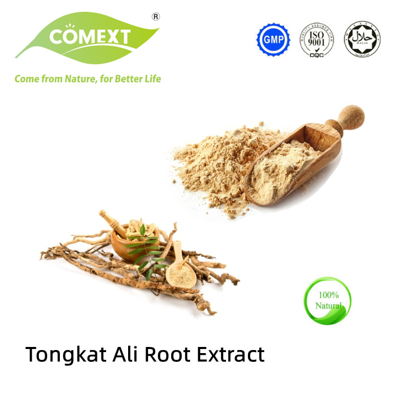 Comext China Factory Free Sample USA Stock 10: 1 100: 1 200: 1 HPLC 1% 2% 8% 10% Eurycomanone Powder Herb Eurycoma Longifolia Root Longjack Tongkat Ali Extract
