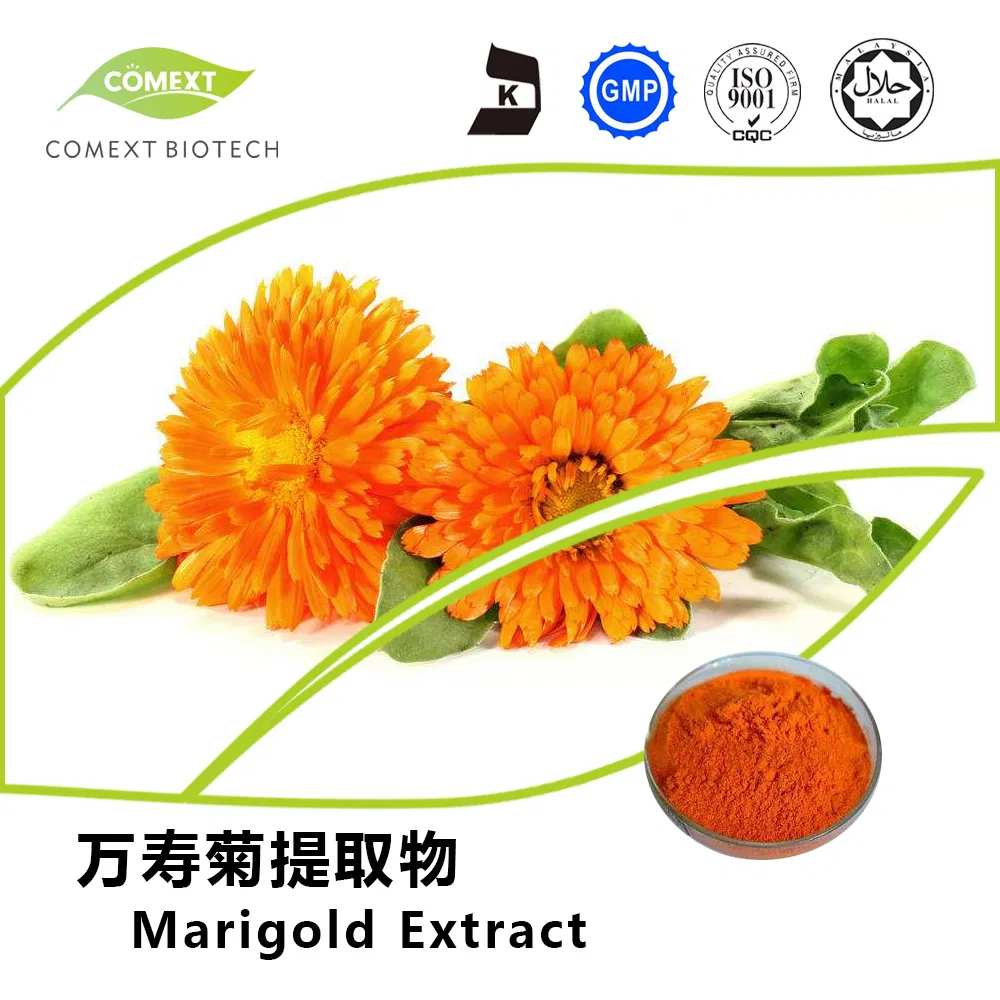 Comext Factory Price Promotion Herbal Extract Food Grade Zeaxanthin Water Soluble Lutein 5%-80% Phytoxanthin Extract Marigold Extract