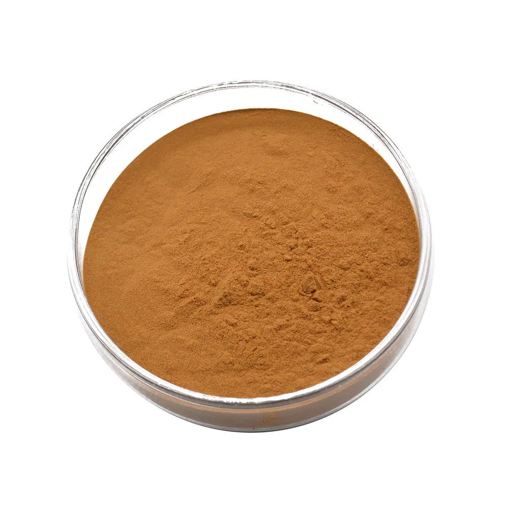 Premium Organic Baobab Fruit Extract 10: 1 for Ultimate Wellness