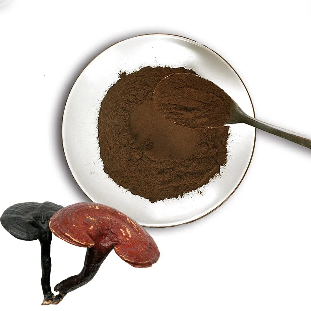 High Quality Reishi Mushroom Extract Medicinal Plant Powder Healthcare Product