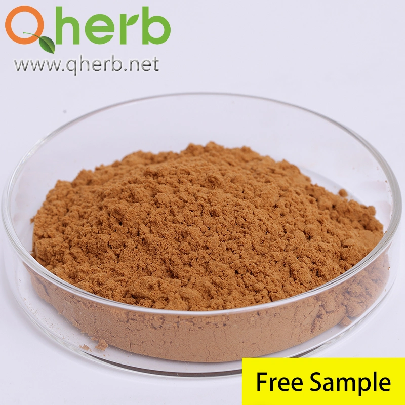100% Natural Chinese Thorowax Bupleurum Falcatum Sinensis Root Extract Traditional