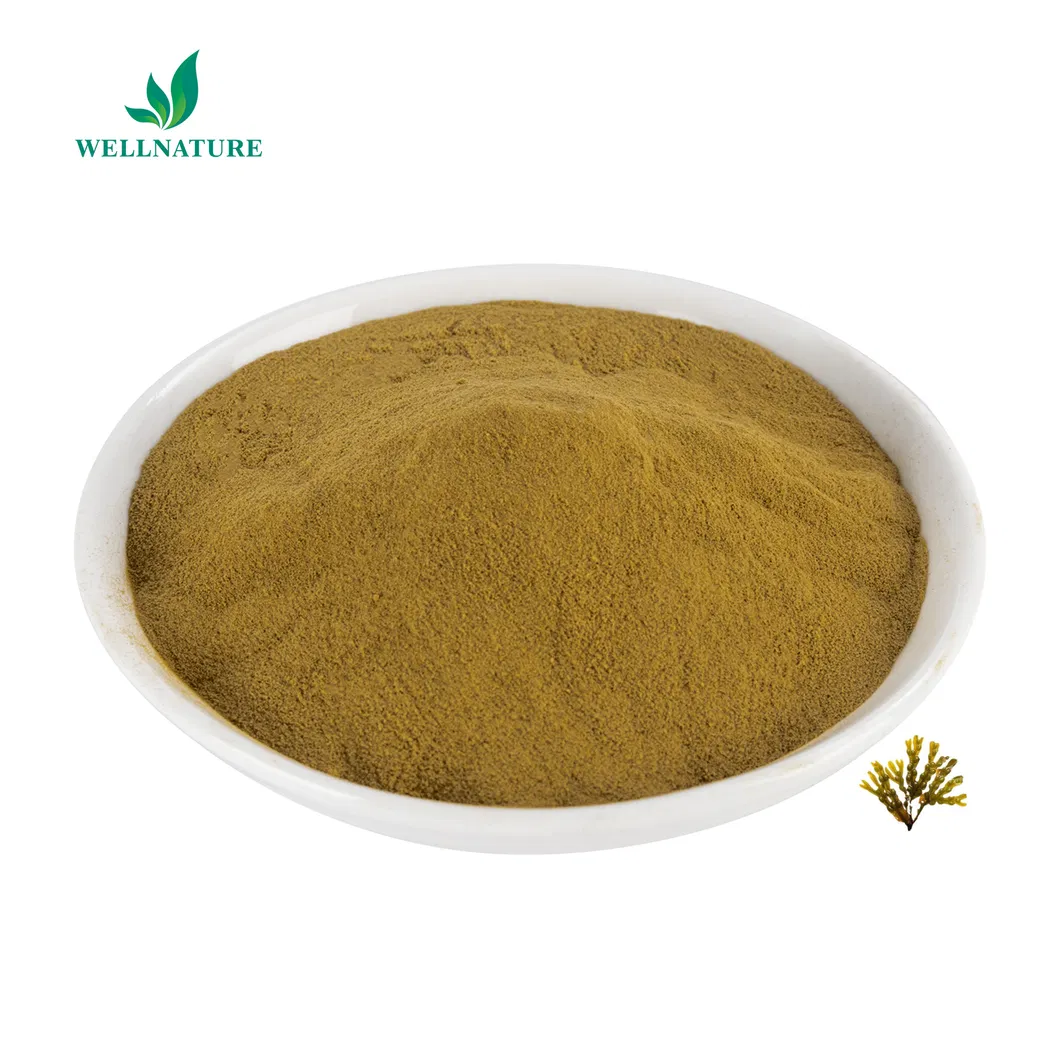 Bladderwrack Extract Appearance