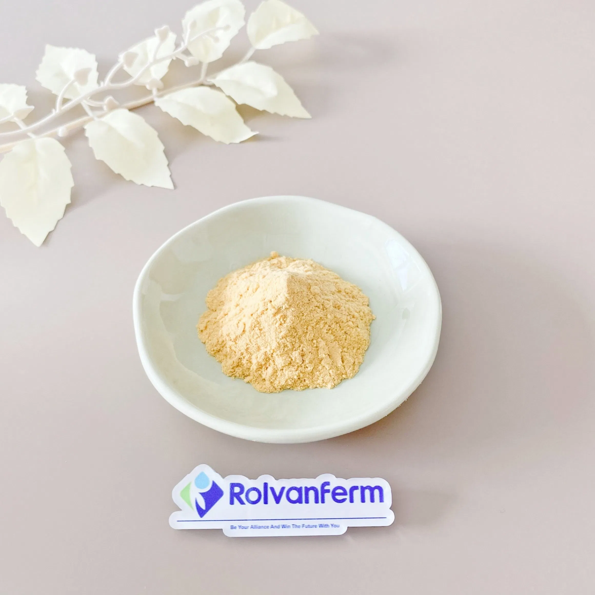 Chamomile Extract Standardized Apigenin and Flavonoids From Matricaria Chamomilla for Dietary Supplement Applications