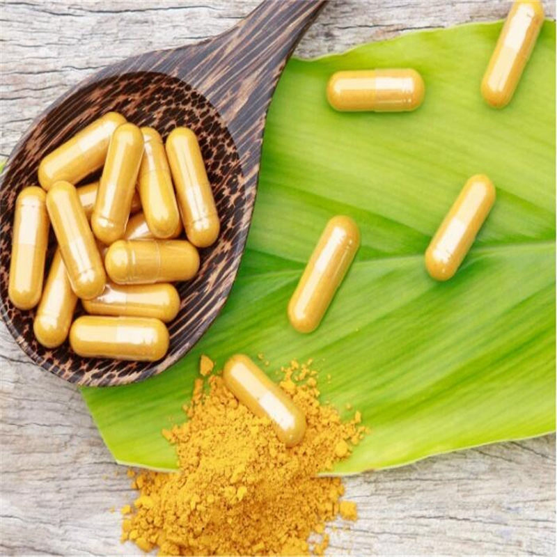 Herbal Healthy Ganoderma Lucidum Capsule Reishi Extract Medicinal Mushroom