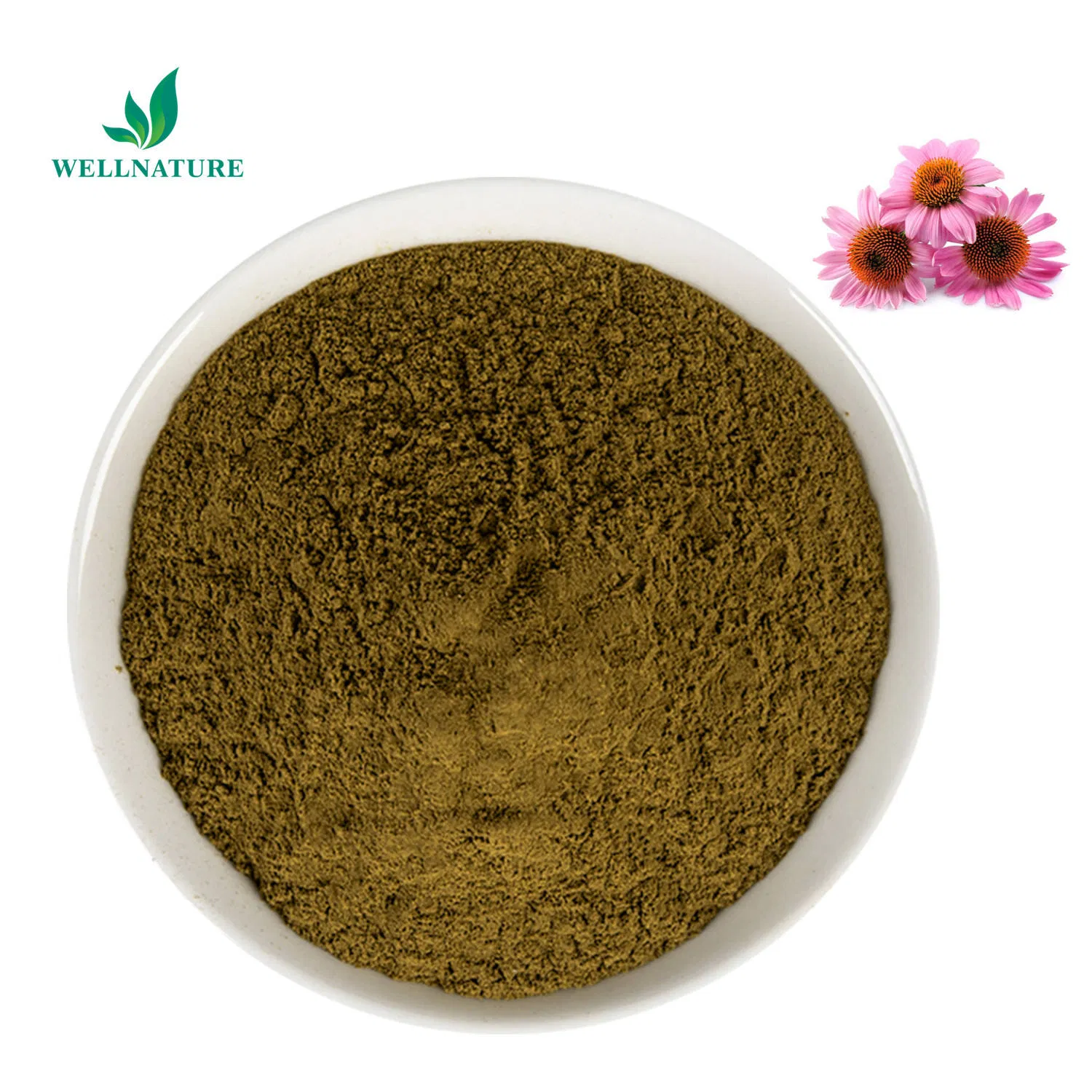 Standardized 5% Chlorogenic Acid for Dietary and Metabolic Supplements Eucommia Ulmoides Extract