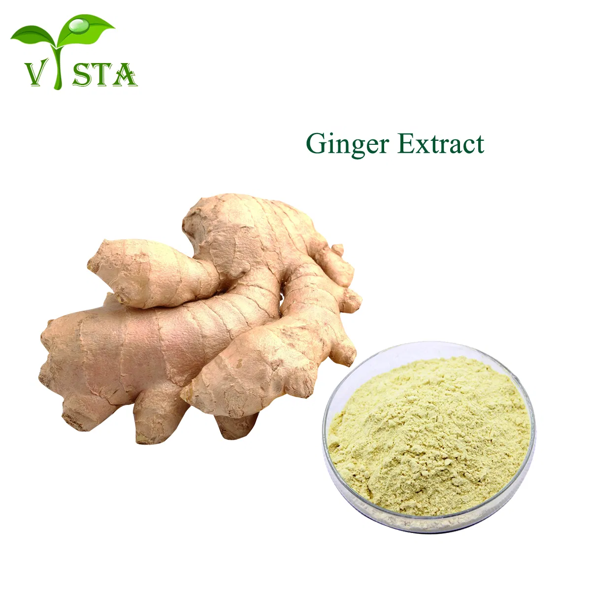Factory Supply Plant Extract Ginger Root Extract Gingerol Powder 5% CAS No. 23513-14-6